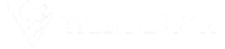 Logo SZ Web Design – Diseño web profesional para negocios y emprendimientos.
