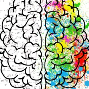 Ilustración de un cerebro dividido: hemisferio izquierdo con fórmulas matemáticas y hemisferio derecho con colores creativos.