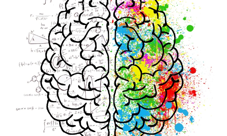 Ilustración de un cerebro dividido: hemisferio izquierdo con fórmulas matemáticas y hemisferio derecho con colores creativos.