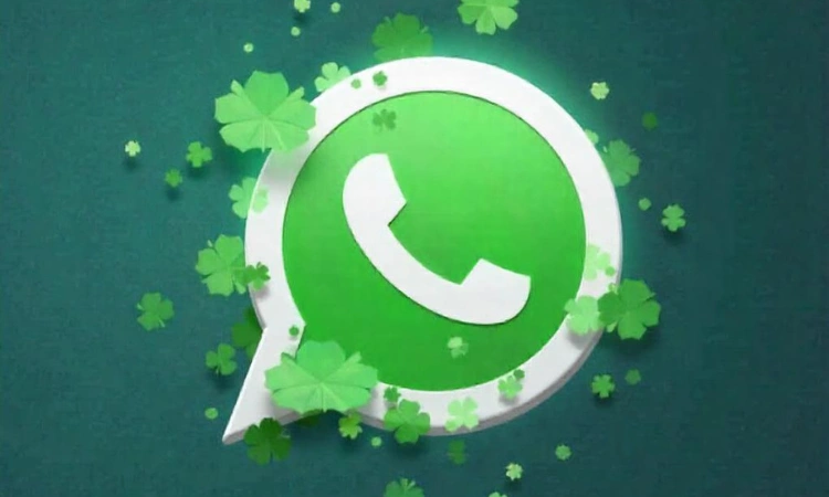 Logo de WhatsApp rodeado de tréboles verdes sobre fondo verde oscuro.